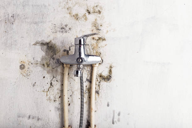 Best Mold Remediation for Schools in Fairplains, NC