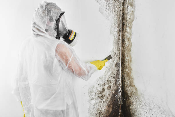 Best Crawl Space Mold Remediation in Fairplains, NC