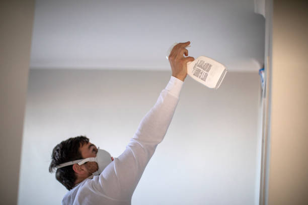 Best Insurance-Related Mold Remediation in Fairplains, NC